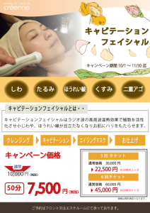 %e3%82%ad%e3%83%a3%e3%83%93%e3%83%86%e3%83%bc%e3%82%b7%e3%83%a7%e3%83%b3%e3%83%95%e3%82%a7%e3%82%a4%e3%82%b7%e3%83%a3%e3%83%ab%ef%bc%88%e7%a8%8e%e5%88%a5%ef%bc%89